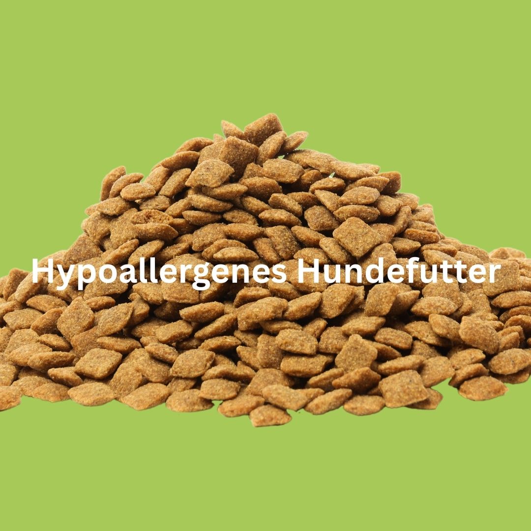 Hypoallergenes Hundefutter, Allergie beim Hund