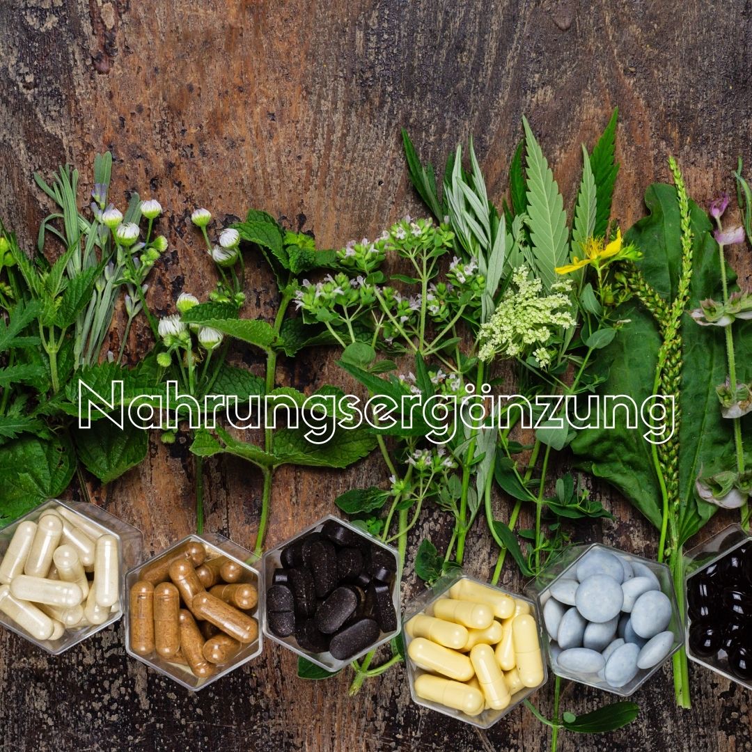 Nahrungsergänzung beim Hund